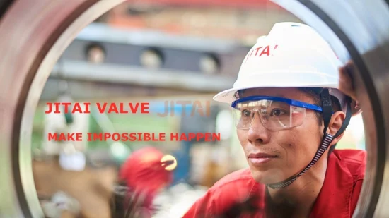 API 6D Full Bore Metal Vertical Stainless Steel Flanged Full Bore Non Return Swing Check Valve for Steam, Petrol, Oil, Gas